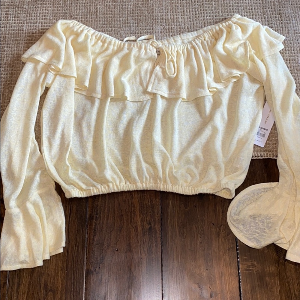 NWT amuse society crop top